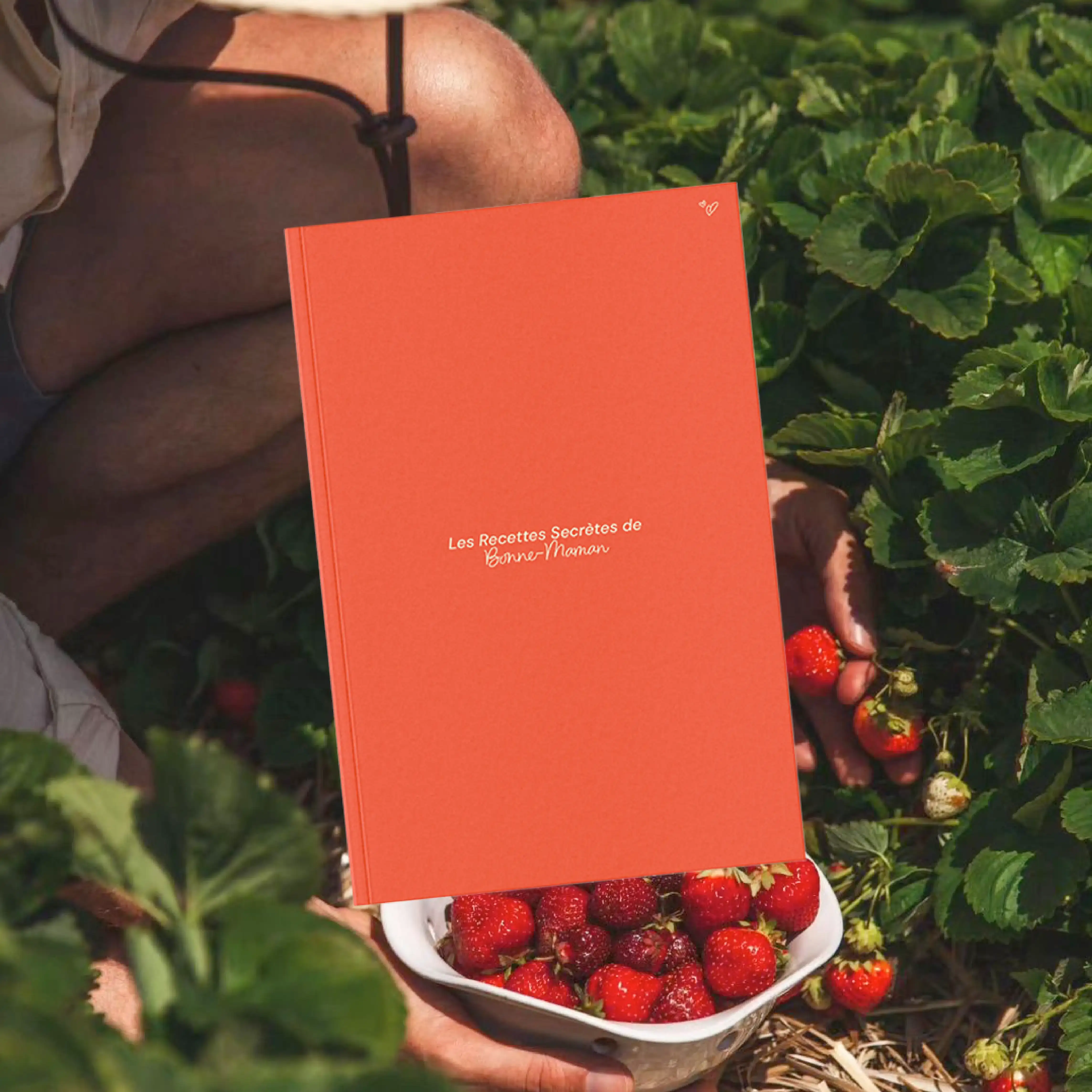 Livre des recettes de bonne maman